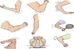 Physical Therapy Elbow Exercises and Treatment
