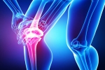 Physical Therapy Exercises For Knee Pain