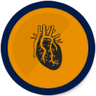 Cardiovascular Conditioning